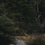 473 nos regards se croisent