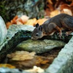 475 il s’offre une pause