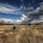 478 ermite ou berger