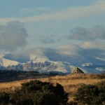 484 liberté l’espace