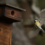 485 être aussi léger