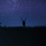 486 sous la voie lactée