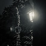 la nuit la lumière