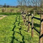 l’ombre des frontières