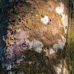 l’énigme des cartes