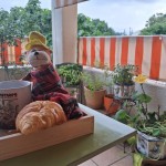 silence au balcon