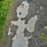 tu te crois tout seul